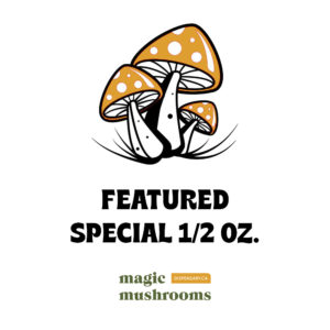  Buy Magic Mushrooms Online same overnight door delivery
