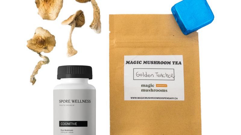 Buy 5 Magic Mushroom grow kit Discount Pack